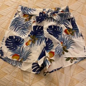 Hawaiian Shorts